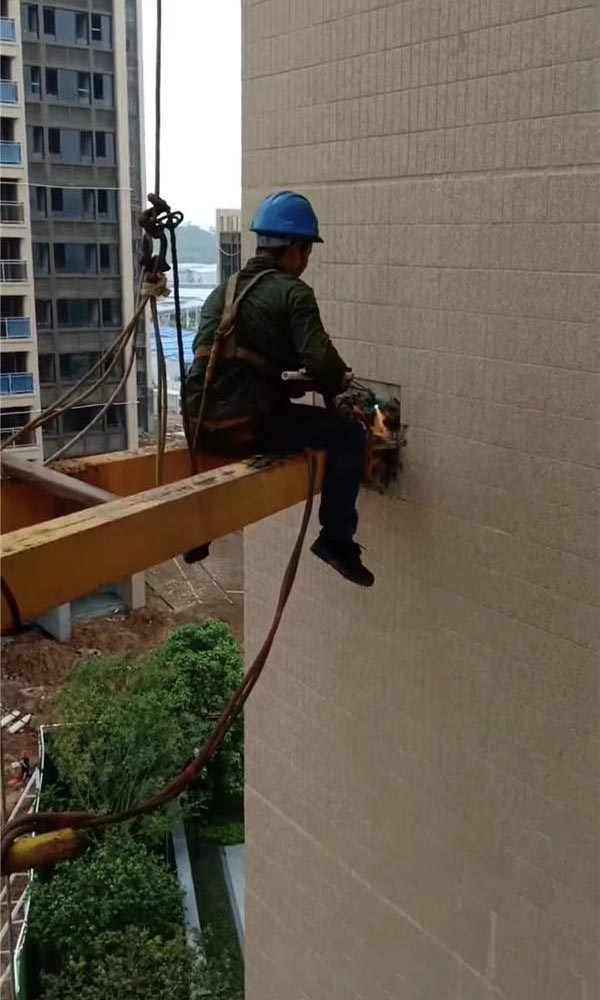 �≦�A(y��)�Ƙ�(g��u)����������Q